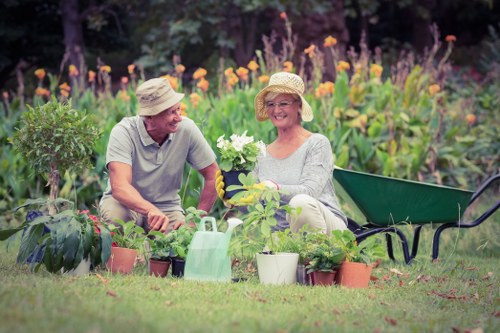 Illustration representing accessible tree surgery services in Manorpark