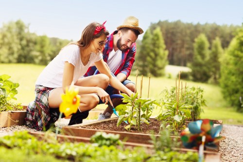 Professional hedge cutting service for a residential Manorpark garden