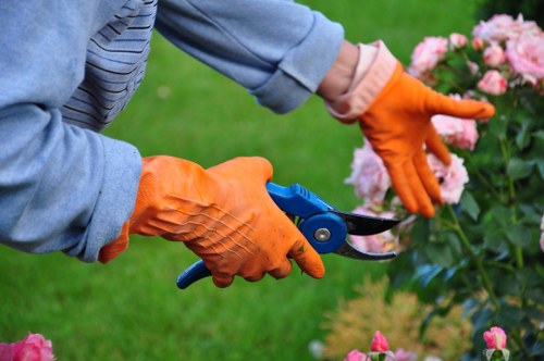 Protected online transaction for tree care services
