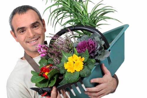 Garden hedge maintenance and shaping in Manorpark