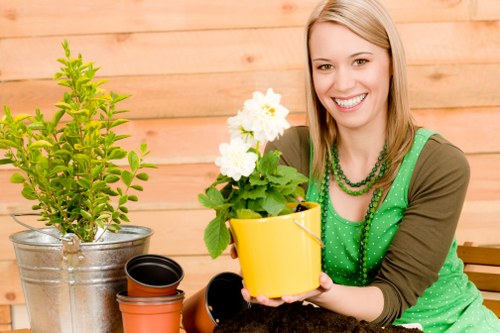 Tree surgeons managing payment and service terms