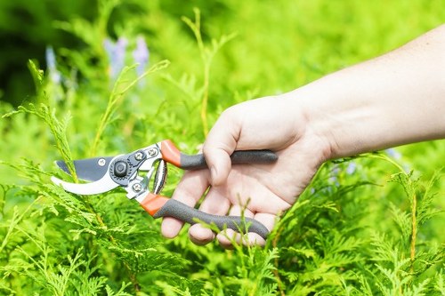 Professional tree maintenance with branches being safely managed