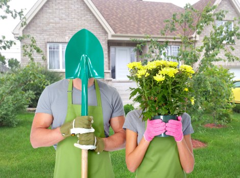 Professional stump grinding preparation and access check in Manorpark